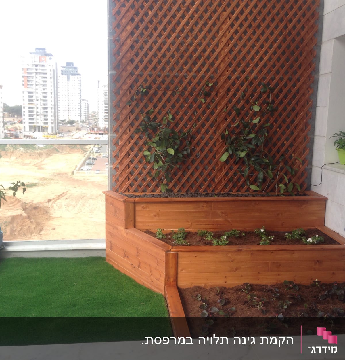 גינת ירק במרפסת עם אדניות עץ וצמחים מטפסים